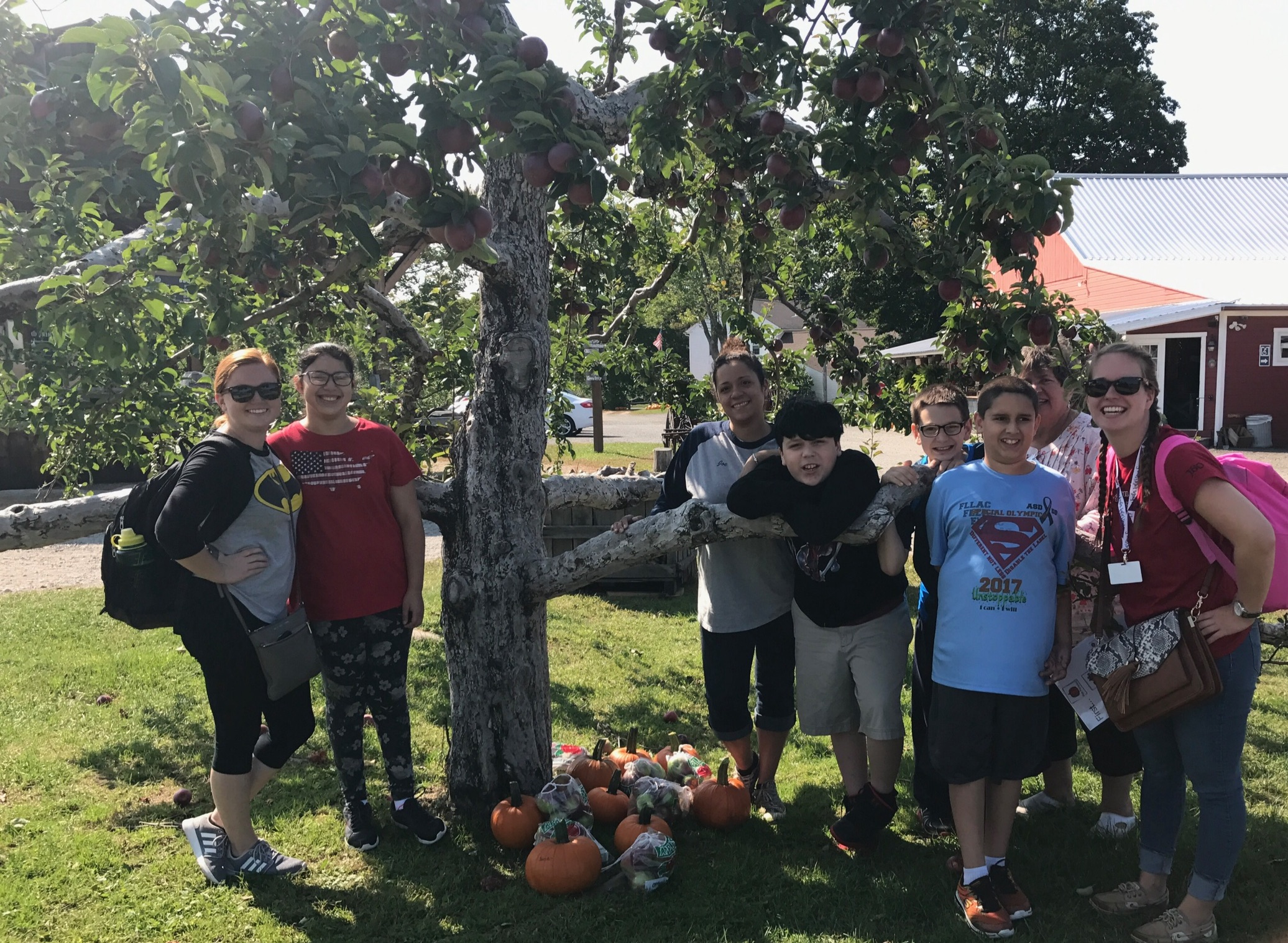 Classroom picture with their apples and pumpkins.