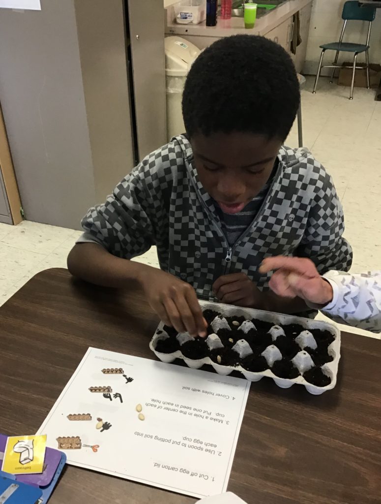 Growing seeds.